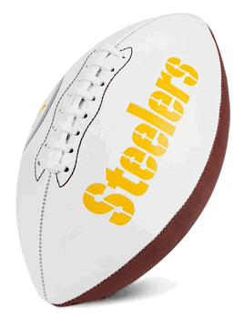Pittsburgh Steelers Franklin NFL Team Signature Autograph White Panel Football