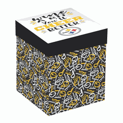 Pittsburgh Steelers Glass 17oz Wine Stemless Boxed