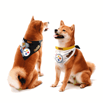 Pittsburgh Steelers Home and Away Pet Bandana Set Large