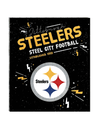 Pittsburgh Steelers HSN Plush Throw 60x70