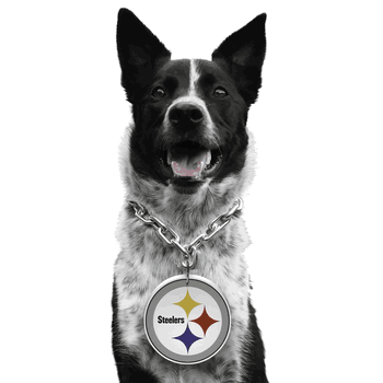 Pittsburgh Steelers Pet Fan Chain
