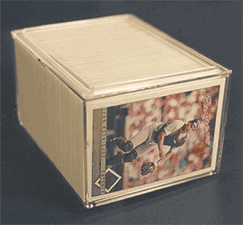 Pro Mold 250ct Plastic Box