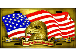 Proud To Be An American License Plate