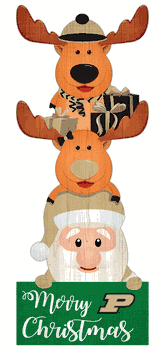 Purdue Boilermakers 31