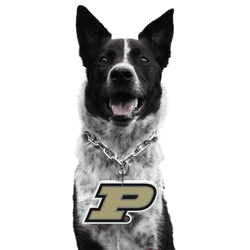 Purdue Boilermakers Pet Fan Chain