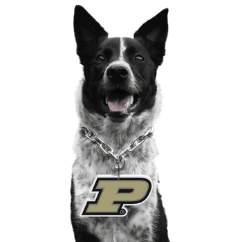 Purdue Boilermakers Pet Fan Chain