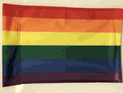 Rainbow Flag 12x18 Garden Style Design CO