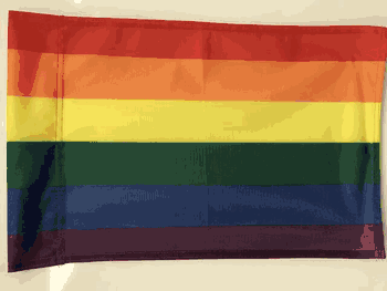 Rainbow Flag 12x18 Garden Style Design CO