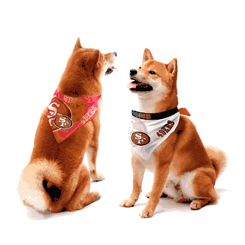 San Francisco 49ers Home and Away Pet Bandana Set Small