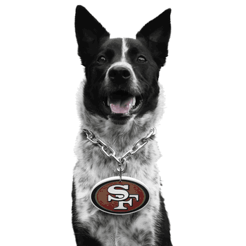 San Francisco 49ers Pet Fan Chain