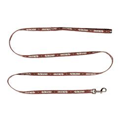 San Francisco 49ers Pet Team Lead .375 X 60