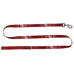 San Francisco 49ers Premium Pet Lead INCH