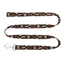 San Francisco Giants Pet Team Lead  - Medium