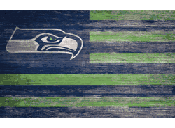 Seattle Seahawks Distressed Flag 11x19