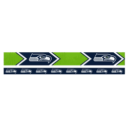 Seattle Seahawks Headband Set