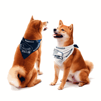 Seattle Seahawks Home and Away Pet Bandana Set Small