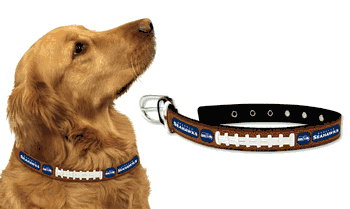 Seattle Seahawks Pet Collar Leather Classic Football Size Medium CO
