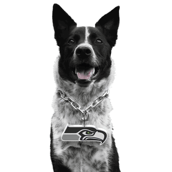 Seattle Seahawks Pet Fan Chain