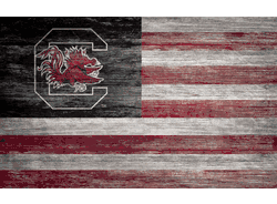 South Carolina Gamecocks Distressed Flag 11x19