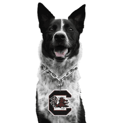 South Carolina Gamecocks Pet Fan Chain