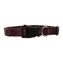 South Carolina Gamecocks Pet Team Collar Small