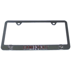 South Carolina Gamecocks Tag Frame