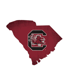 South Carolina Gamecocks Team Color Logo State Sign