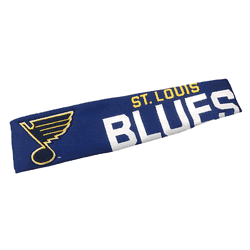 St. Louis Blues FanBand