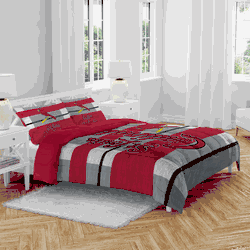 St. Louis Cardinals Heather Stripe 3 PC Full/Queen Bed in a Bag
