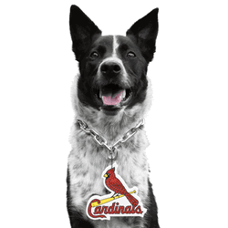St. Louis Cardinals Pet Fan Chain