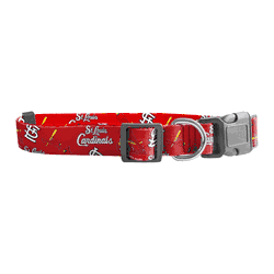 St. Louis Cardinals Pet Team Collar  - Medium