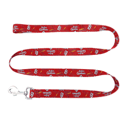 St. Louis Cardinals Pet Team Lead  - Medium
