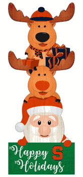 Syracuse Orange 31