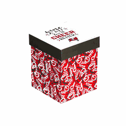 Tampa Bay Buccaneers Glass 17oz Wine Stemless Boxed