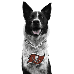 Tampa Bay Buccaneers Pet Fan Chain