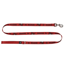 Tampa Bay Buccaneers Premium Pet Lead INCH