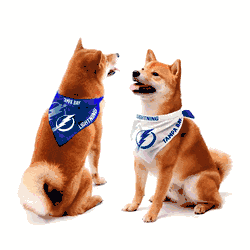 Tampa Bay Lightning Home and Away Pet Bandana Set Medium