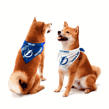 Tampa Bay Lightning Home and Away Pet Bandana Set Small