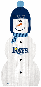 Tampa Bay Rays 31
