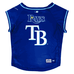 Tampa Bay Rays Big Pet Stretch Jersey