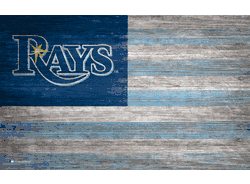 Tampa Bay Rays Distressed Flag 11x19