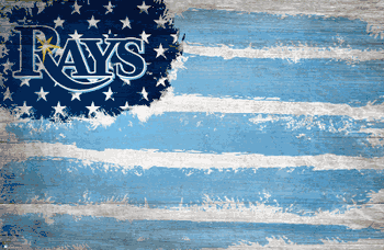 Tampa Bay Rays Flag 17x26