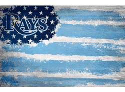 Tampa Bay Rays Flag 17x26