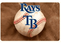 Tampa Bay Rays Pet Bowl Mat Classic Baseball Size Large