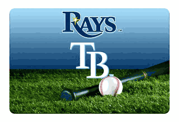 Tampa Bay Rays Pet Bowl Mat Team Color Baseball Size Large CO