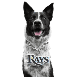 Tampa Bay Rays Pet Fan Chain