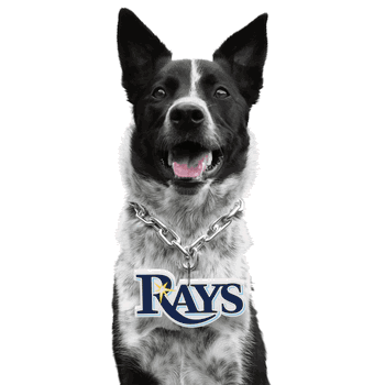 Tampa Bay Rays Pet Fan Chain