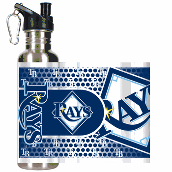 Tampa Bay Rays Stainless Steel Water Bottle with Hi-Def Metallic Graphics