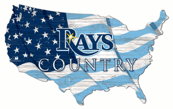 Tampa Bay Rays USA Shape Flag Cutout