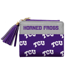 TCU Horned Frogs Mini Organizer